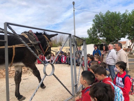 Los escolares se acercan a las costumbres y tradiciones del Campo de Cartagena en el Museo Etnográfico
