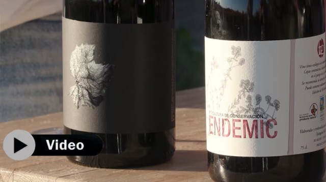 Endemic Premium 2019 