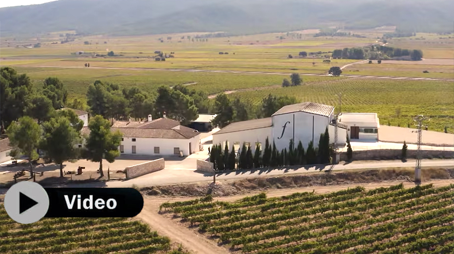 Los Frailes Caliza. Monastrell extrema en suelos calizos