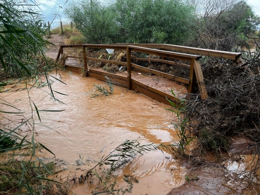 Las fuertes precipitaciones en el Mar Menor inundan Los Nietos: 