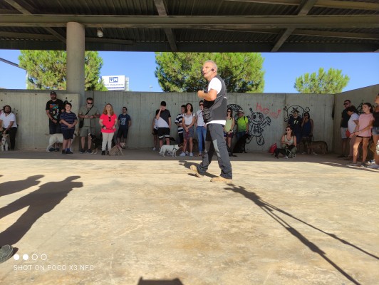 Éxito del taller gratuito de adiestramiento canino en Murcia: 25 perros y sus dueños aprenden cómo actuar en la vía pública