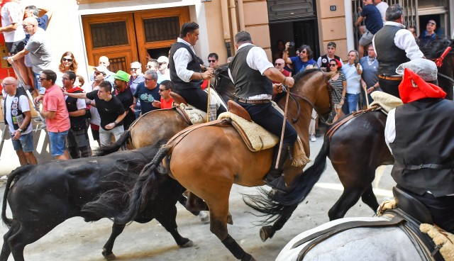 Una caballista sufre una caída en la sexta Entrada de Toros y Caballos de Segorbe 