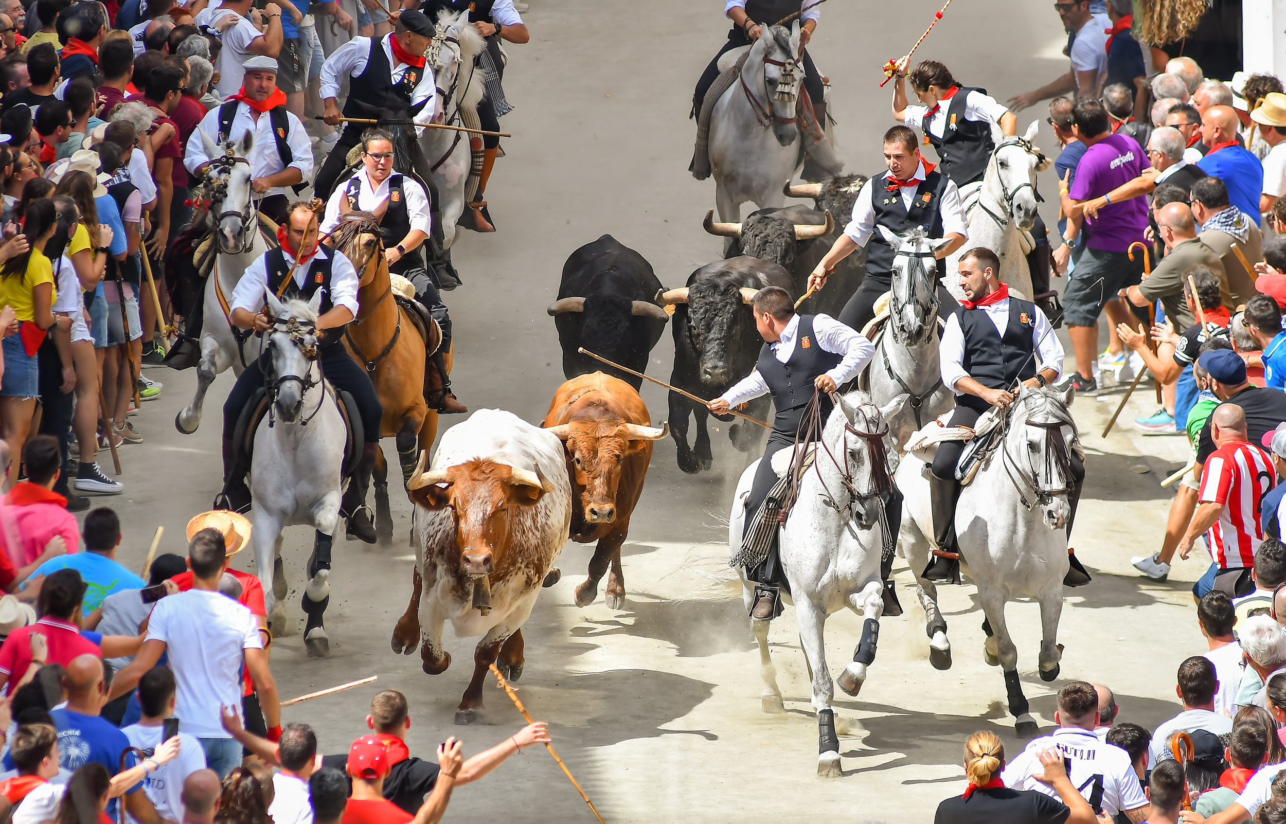Trece caballistas participan en la quinta Entrada de Toros y Caballos de Segorbe que deja dos heridos