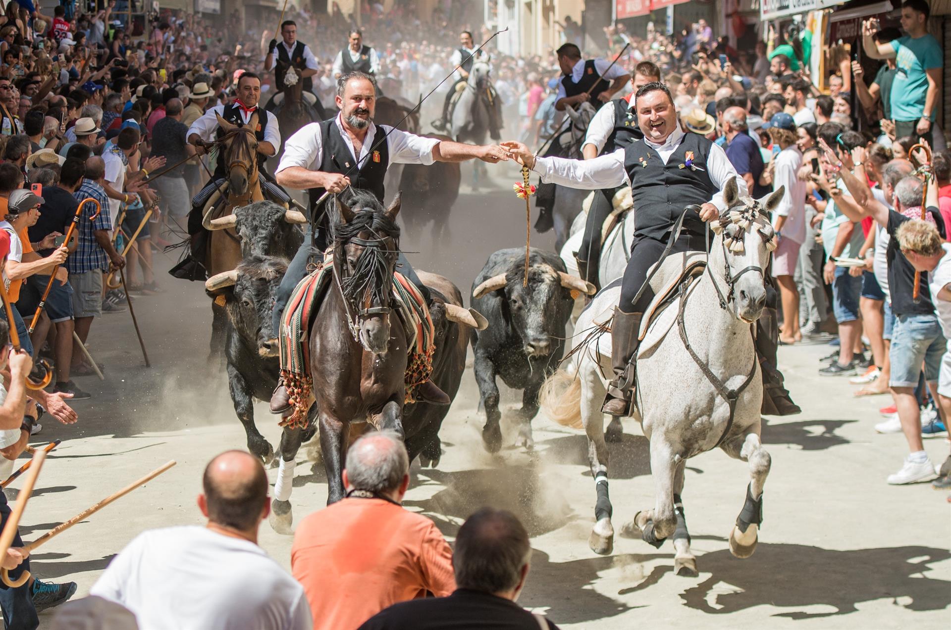 La segunda Entrada de Toros y Caballos de Segorbe deja un herido leve