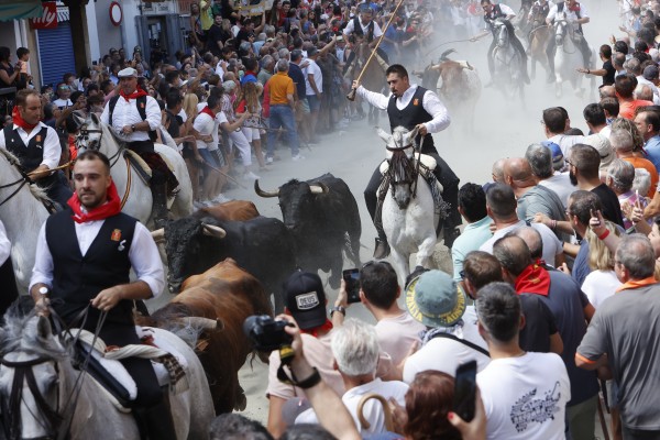 Doce caballistas participan en la primera Entrada de Toros y Caballos de Segorbe de 2022