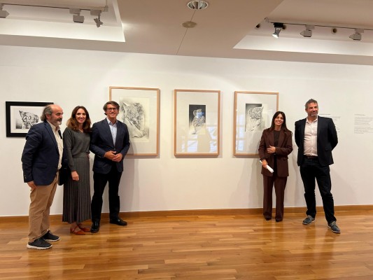 La sala de exposiciones del Mace acoge una exposición de Pedro Marco dedicada a Elche