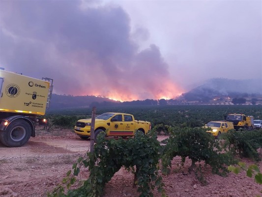 El incendio de Jumilla se da por estabilizado, con 'prudencia', tras arrasar 400 hectáreas
