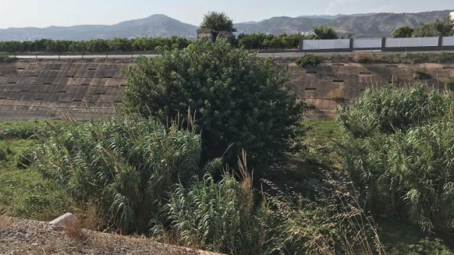 Castelló limpiará el riu Sec y el Barranco del Sol la semana próxima con o sin permiso de la CHJ