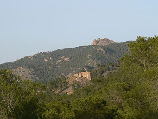 Rutas y senderos para enamorarse de la Sierra de Carrascoy, el gran pulmón verde de Murcia