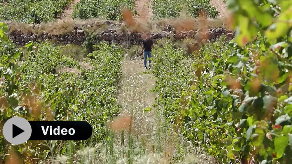 La Finca Cañada Honda cuenta la historia de Bodegas Iranzo
