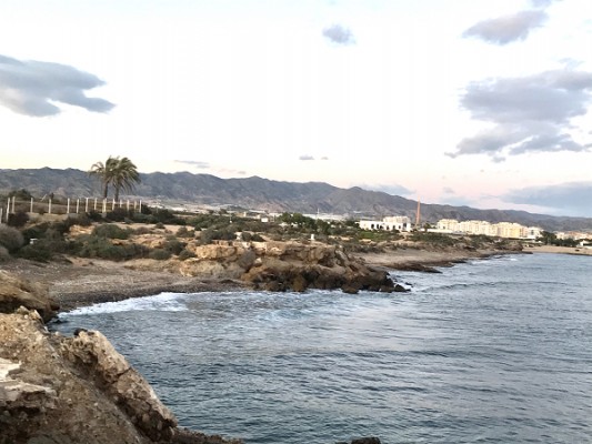 Los perros disfrutarán un año más de la playa: seis alternativas en la costa murciana 