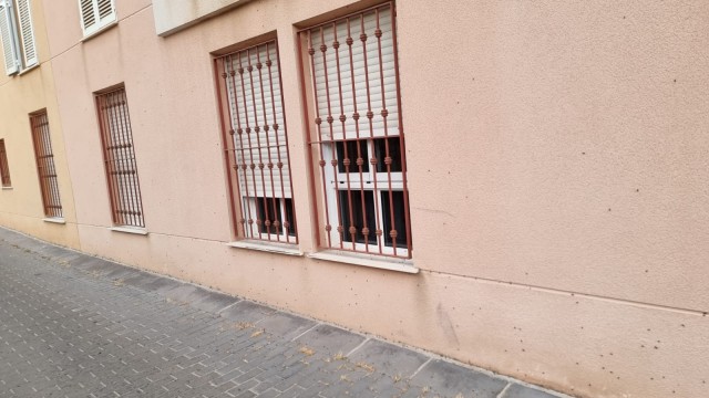 Exigen un plan integral para el Barrio Universitario: solares y calles abandonadas, insectos, roedores y basura