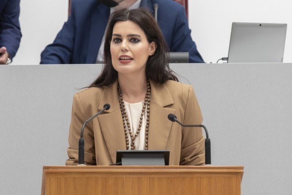 La Ley de Mecenazgo nace con el mayor consenso de la legislatura de la Región