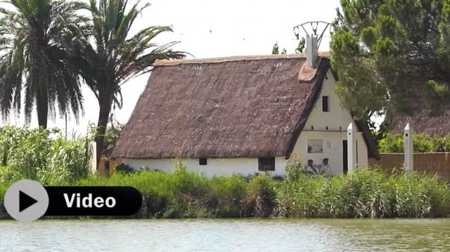 L’Albufera de València: el encanto de la laguna animada