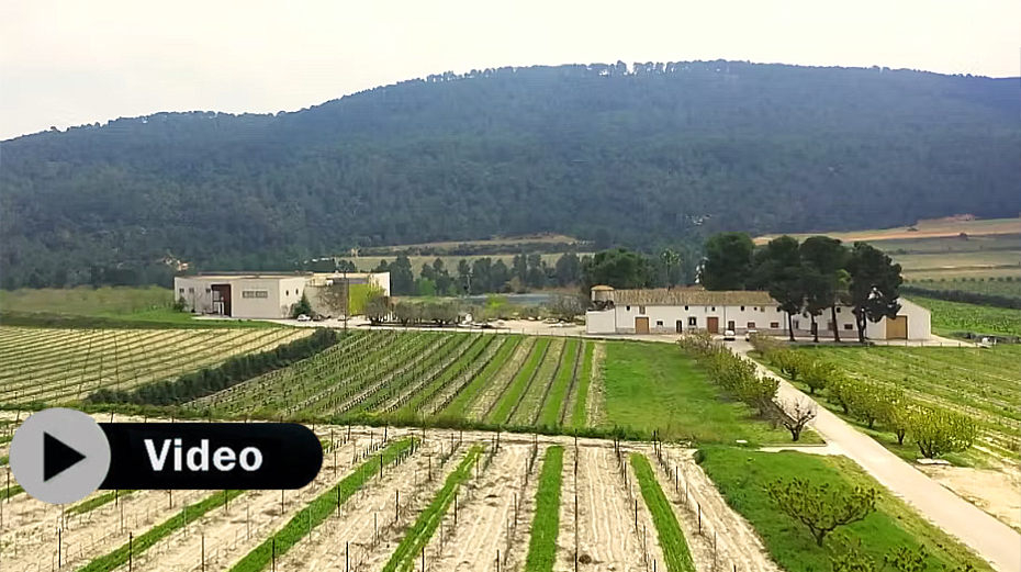 Pago Casa Gran, o el sueño que dibujó una mujer de enorme coraje