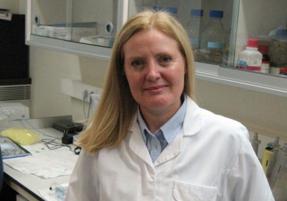 Dolores Corella recibirá la medalla al mérito innovador en el Día de la Provincia