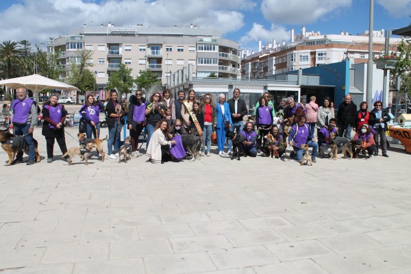 Benicàssim promueve la adopción de mascotas con una evento especial con talleres y exposiciones