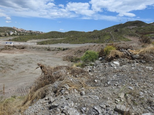 ANSE intenta frenar los movimientos de tierra del Plan Parcial Bella Águilas que amenazan especies protegidas