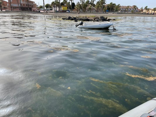 Los Alcázares pone el foco en el Mar Menor: advierte de su estado crítico tras las últimas lluvias 
