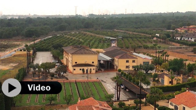 Bodegas Enrique Mendoza respira humildad y respeto por la viticultura