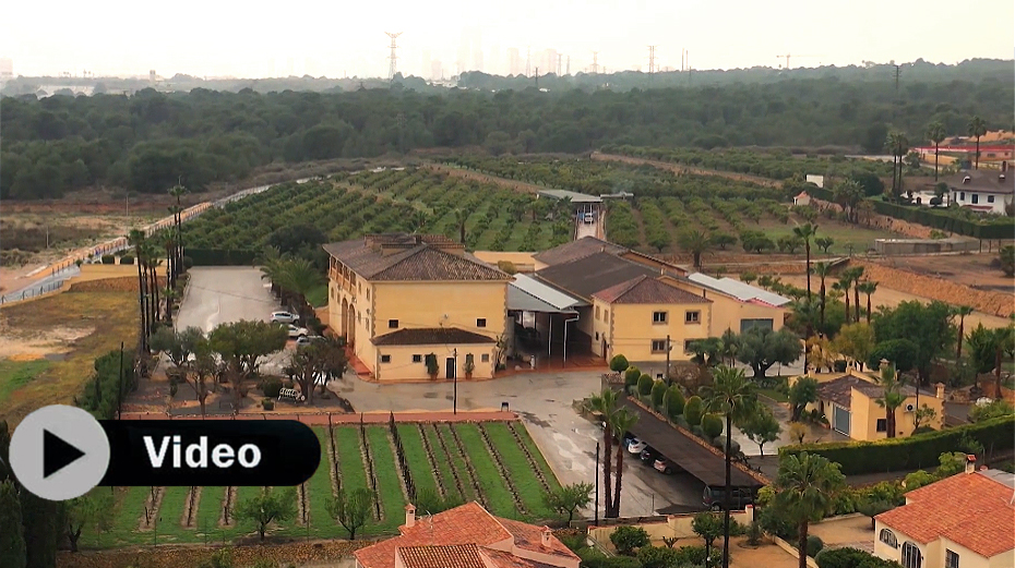 Bodegas Enrique Mendoza respira humildad y respeto por la viticultura
