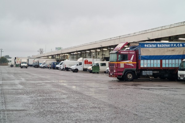 La CEV apela a las fuerzas de seguridad para facilitar la actividad de los transportistas