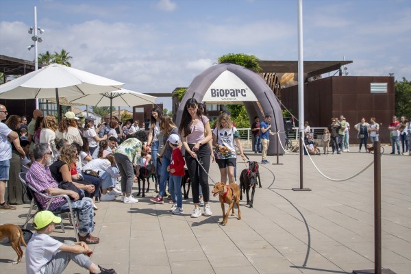 Bioparc habilita una plataforma para canalizar la ayuda económica a animales afectados por la Dana