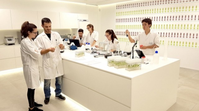 La 'megaoperación' de AM Fresh coloca a la murciana SNFL en la cima mundial del desarrollo de uva
