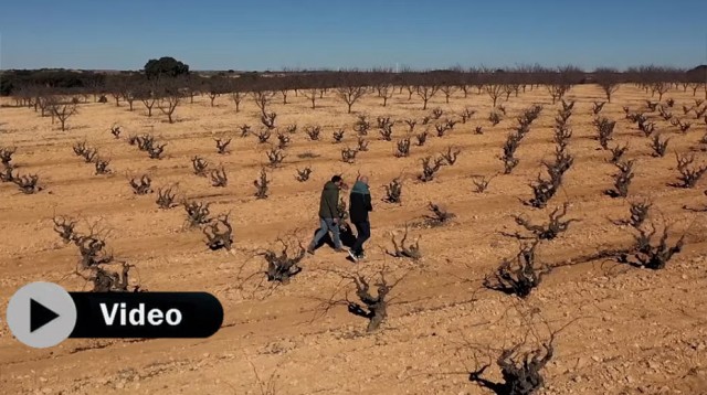 Finca Sandoval. La Manchuela esconde tesoros fieles al terruño y el origen