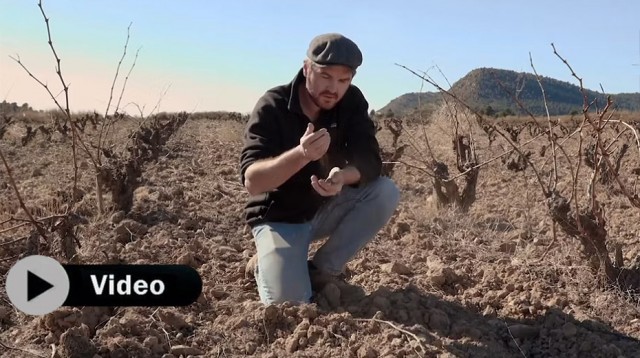 Viñas sabias y montaña: la receta de Baldovar 923 para emocionar cerca del cielo