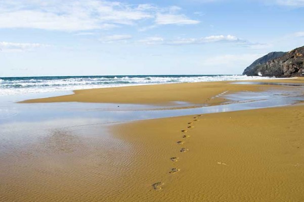Las mejores playas de la Región para relajarse y disfrutar del invierno