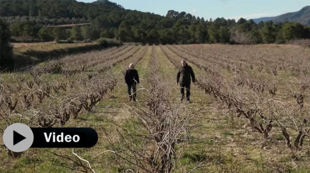 La Cooperativa Sant Pere de Moixent, más de 70 años de pasión por el campo