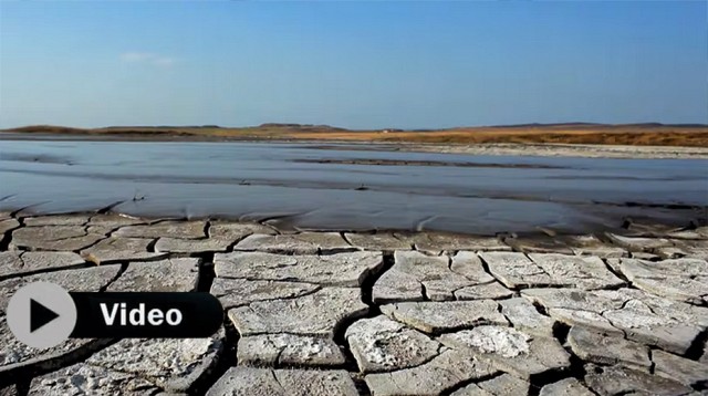 Juventud por el Clima: las generaciones más jóvenes exigen acción para salvar el planeta