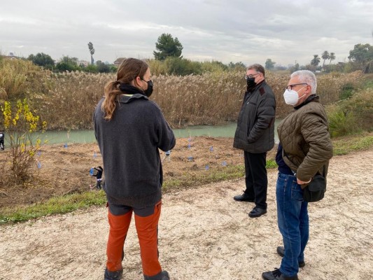 La pedanía murciana de Rincón de Seca recupera parte del bosque de ribera en el río Segura
