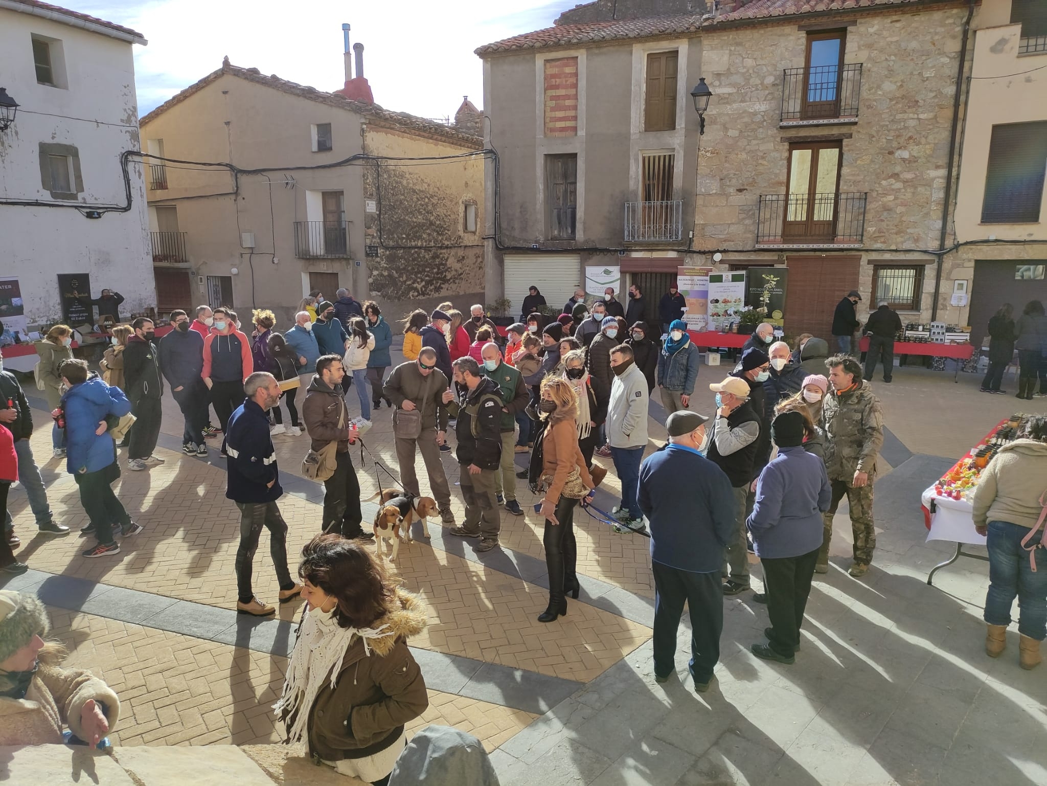 La feria de la trufa de Benafigos concentra a numeroso público interesado en este hongo