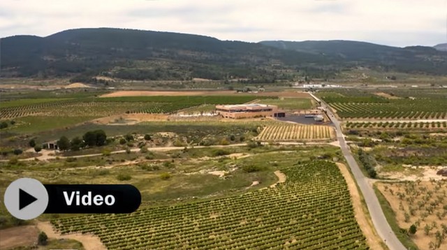 Enoturismo valenciano: cuando las tierras del interior dejaron de ser invisibles