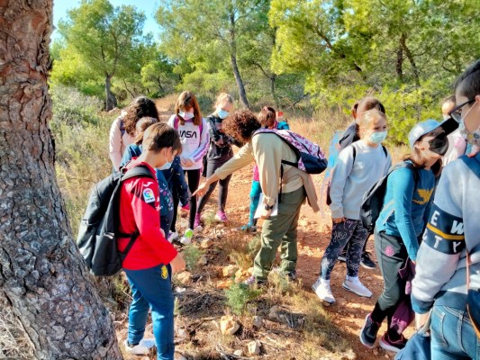 Vila-real commemora els Drets de la Infància amb teatre de carrer, activitats lúdiques i Canta Juegos