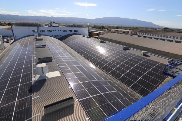 La energía solar sigue superando límites en la Región: la planta curva y 'autorregulada' de Disfrimur  