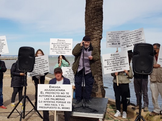 Los Urrutias se une contra la tala de las palmeras: 