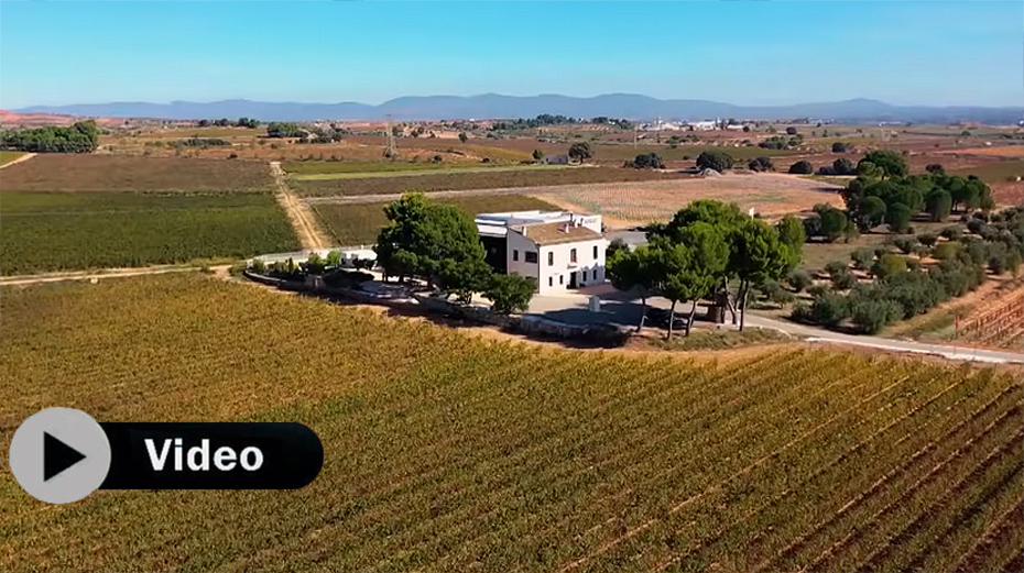 La apuesta por el enoturismo de calidad de Bodegas Hispano Suizas