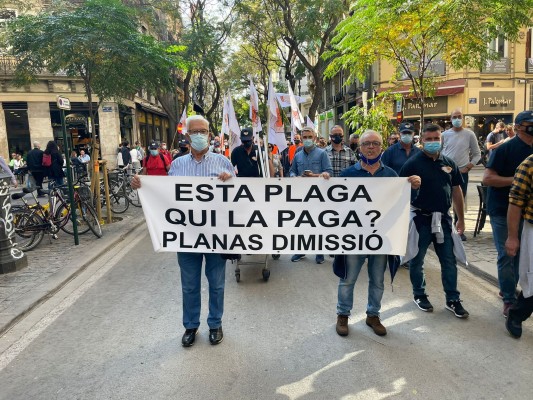 Cientos de citricultores piden en València la dimisión de Mollà y ayudas por el cotonet