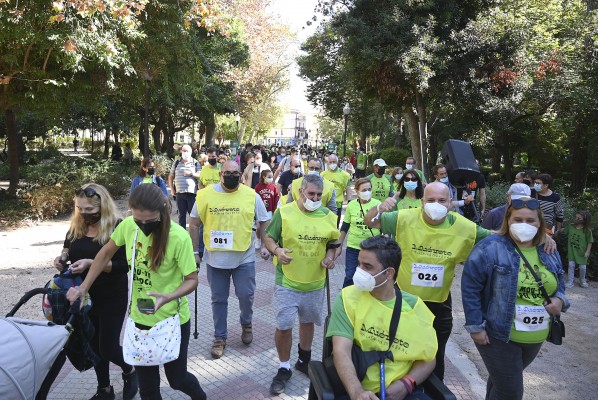 Castelló respalda la carrera solidaria 'Muévete por la salud cerebral' de la Fundación Ateneu