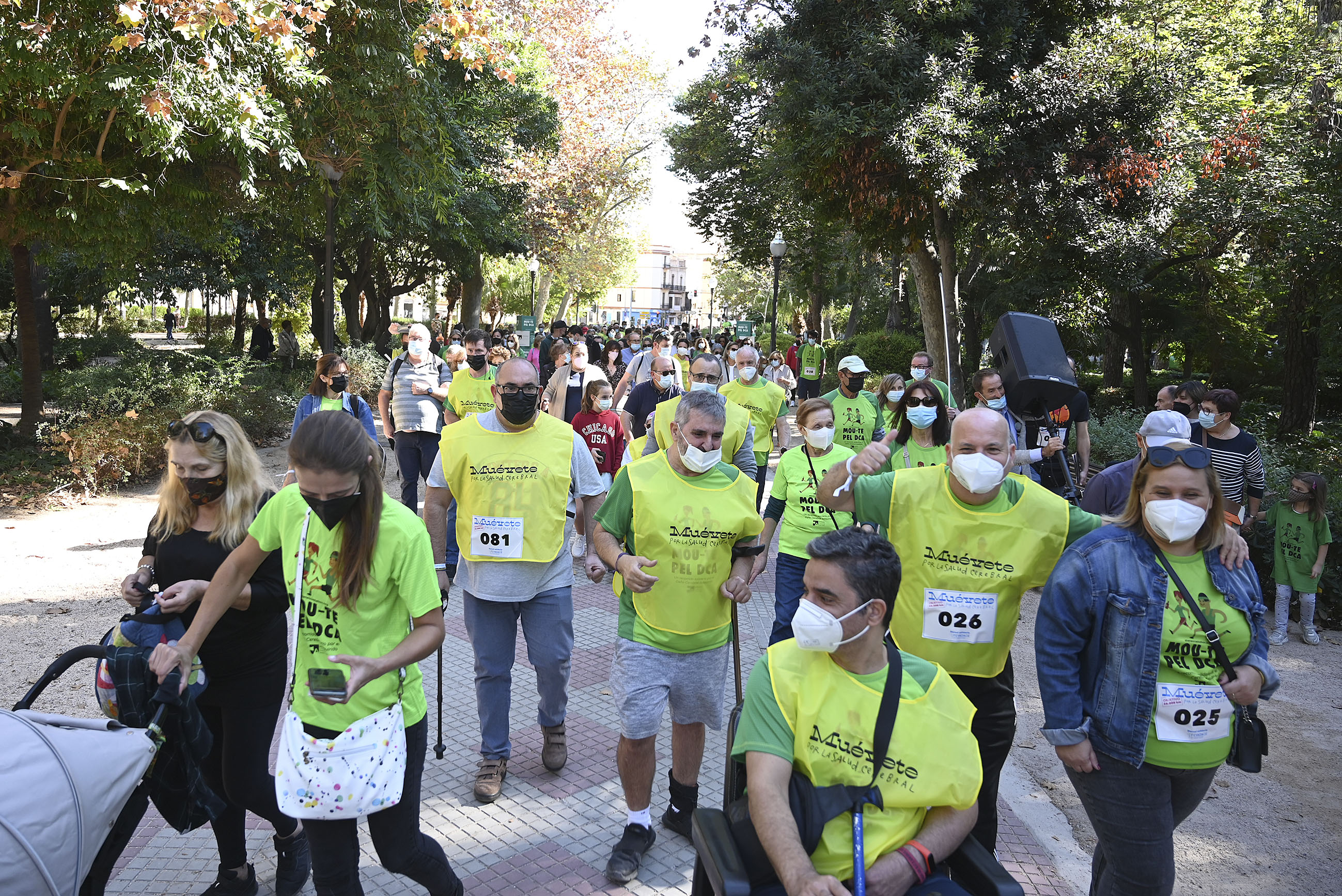 Castelló respalda la carrera solidaria 'Muévete por la salud cerebral' de la Fundación Ateneu