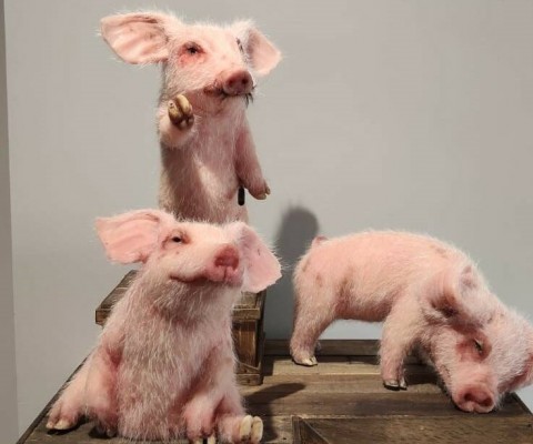 Rebelión en la galería: Two Art Gallery inaugura 'Animal Farm' con más de 40 obras de 33 artistas