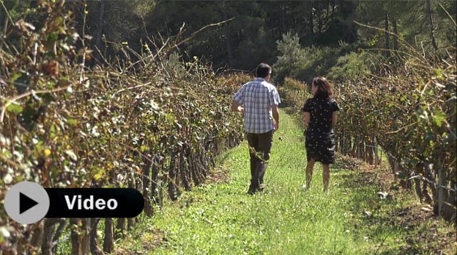 Agroturismo e innovadoras experiencias con aceite con la Cooperativa de Viver