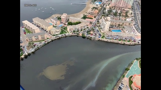 Vídeo: Así es la bolsa anóxica que está provocando la muerte de peces en el Mar menor