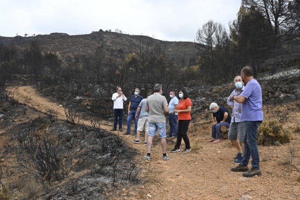 Blanch (PSPV-PSOE) demana declarar zona catastròfica l'incendi de la Serra d'Espadà