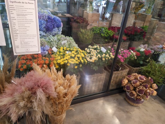 Las floristerías reman para reponerse tras la pérdida de las fiestas señaladas: 
