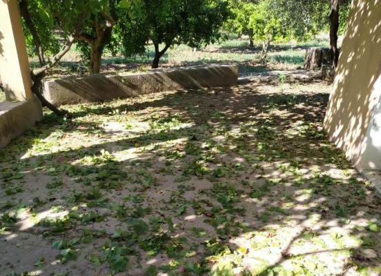 La Unió cuantifica las pérdidas por el pedrisco en las comarcas castellonenses en más de 8 millones