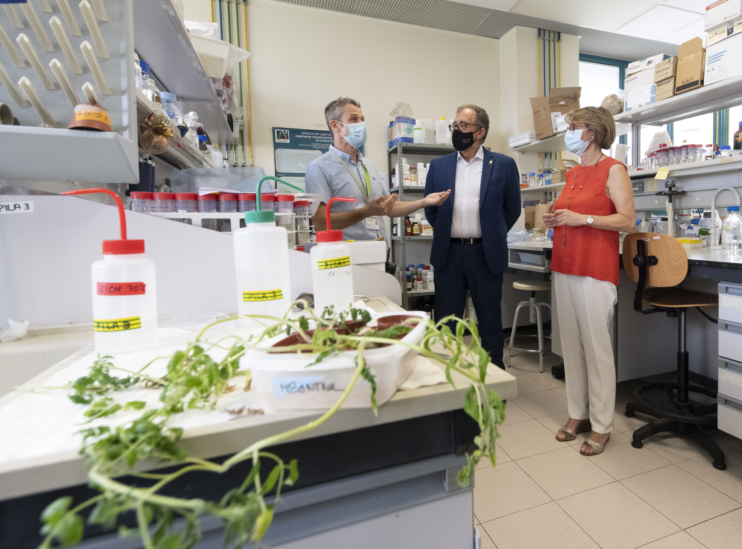 Diputación y UJI lanzan un proyecto para combatir plagas y enfermedades en cultivos